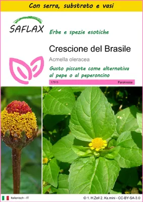 Immagine prodotto di SAFLAX Insieme di coltivazione - Crescione del Brasile - 500 semi - Acmella