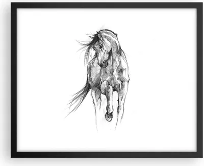 Produktbild von Gerahmtes Poster - Schwarzer Rahmen - Pferd Galopp Tier - 50x40 cm - Wand Bild - Wanddeko - Wandbilder - Kunstposter - Wandposter - Bilderrahmen - Bilder - Kunstdruck - P2BAA50x40-5080
