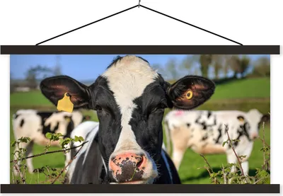 Produktbild von MuchoWow® Textilposter Kuh - Zaun - Gras - Tiere 150x75 cm mit schwarzem Rahmen - Posterleiste