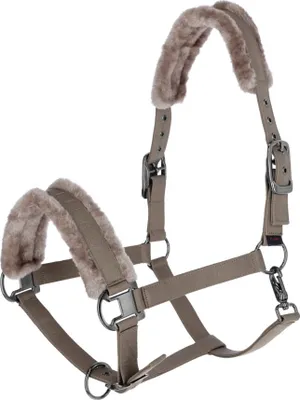 Produktbild von Covalliero Halfter taupe H/W 24, Größe:FULL