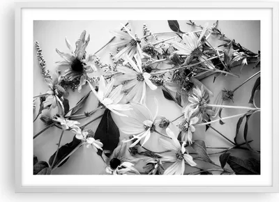 Produktbild von Gerahmtes Poster - Weißer Rahmen - Blumen Schwarzweiß Fotografie - 70x50 cm - Wand Bild - Wanddeko - Wandbilder - Kunstposter - Wandposter - Bilderrahmen - Bilder - Kunstdruck - P2WAA70x50-4740
