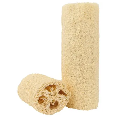 Produktbild von Luffagurke,gebleicht 30-40 cm 63040, ca. 30-40 cm