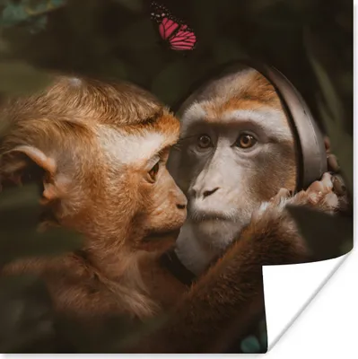 Produktbild von MuchoWow® Poster Tiere - Affen - Natur 100x100 cm - Babyzimmer