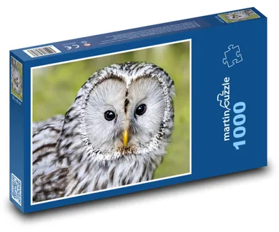 Obrázek produktu pro Puzzle 1000 Puštík lesní - sova - martinpuzzle