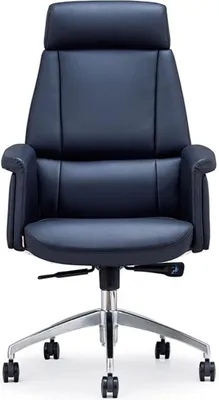 Produktbild von Leder Sessel modern in Schwarz