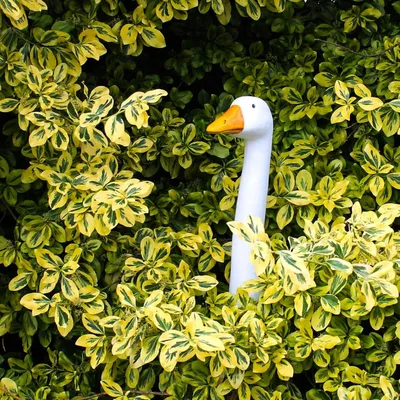 Produktbild von Gartenfigur Gans – Dekoration für den Garten