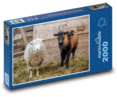 Produktbild von Puzzle 2000 Bauernhof - Nutztiere - martinpuzzle