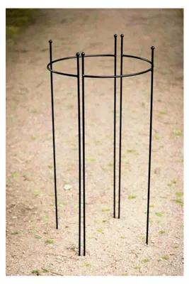 Produktbild von 2er Set halbrunde Staudenhalter, Höhe 90cm, Breite 45cm, schwarz pulverbeschichtet