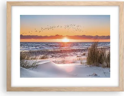 Produktbild von Gerahmtes Poster - Rahmen in heller Eiche - Sonne Strand Vögel - 40x30 cm - Wand Bild - Wanddeko - Wandbilder - Kunstposter - Wandposter - Bilderrahmen - Bilder - Kunstdruck - P2NAA40x30-4727