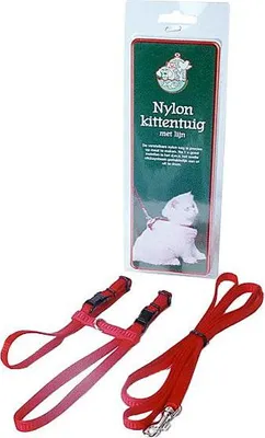 Produktbild von Katzengeschirr für Kätzchen, gefertigt aus Nylon, in der Farbe Rot, inklusive Leine