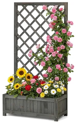 Produktbild von Hochbeet mit Rankgitter Holz Grau 63x24x120cm