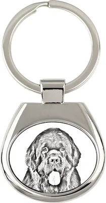 Produktbild von Neufundländer, Newfoundland - Schlüsselanhänger mit Hund, Anhänger mit Aufdruck, personalisierter Anhänger der Marke Art-Dog