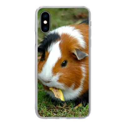 Produktbild von MuchoWow® Handyhülle Schutzhülle Hülle für iPhone X Meerschweinchen draußen Silikon Softcase Handy Hülle - Handyhülle