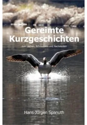 Obrázok produktu pre Gereimte Kurzgeschichten Buch: 60 Geschichten über vielfältige Themen des Lebens