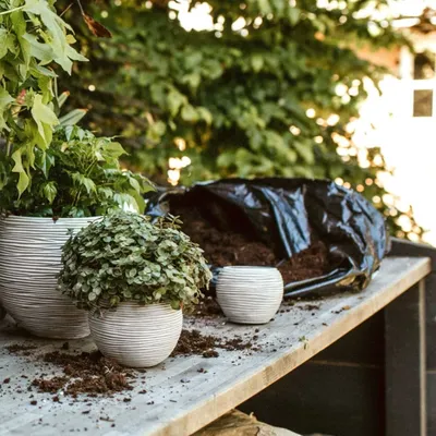 Produktbild von Capi 3-tlg. Blumentopf-Set Nature Rib Kugelform Elfenbein