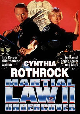 Produktbild von Martial Law 2 - Undercover [DVD] uncut