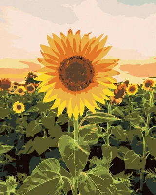 Produktbild von Zuty - Malen nach Zahlen - TOLLE SONNENBLUME, 40x50 cm, ohne Keilrahmen