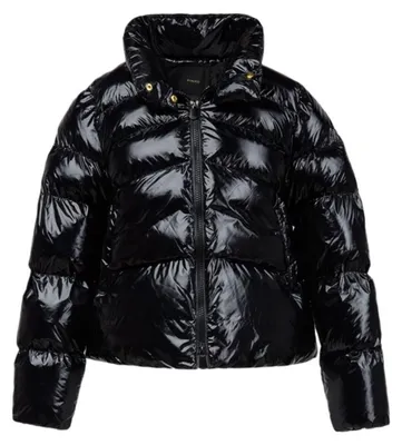 Immagine prodotto di Giacca Pinko accessories59007XXA