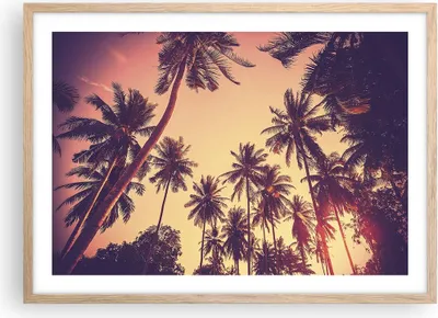 Produktbild von Gerahmtes Poster - Rahmen in heller Eiche - Palmen Himmel Sonne - 70x50 cm - Wand Bild - Wanddeko - Wandbilder - Wandposter - Bilderrahmen - Bilder - Kunstdruck - Wandbild - P2NAA70x50-4220