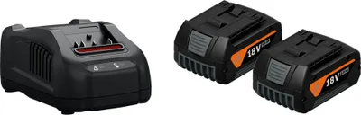 A black battery charger and two black 18V batteries are shown against a white background.