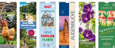 Produktbild von BRUNNEN Streifenkalender 2027 | 155×428 mm, sortiert