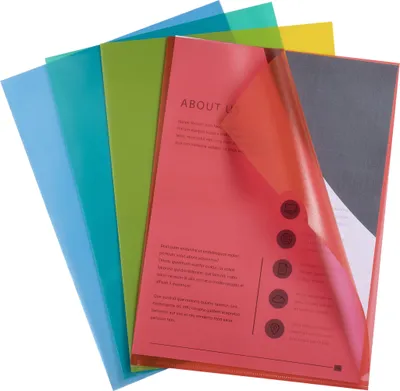 Image de Exacompta 10x Sachet de 100 pochettes coin PP grainé Budget A4 assort. 57119E