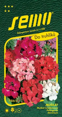 Obrázek produktu pro Semo Pelargonie páskatá - směs 11s