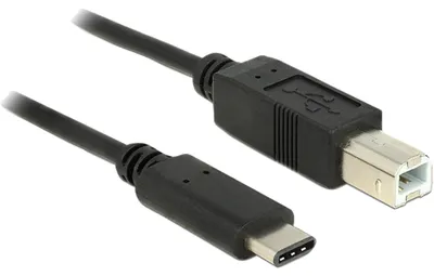 Produktbild von Delock - USB-Kabel - 24 pin USB-C (M) zu USB Typ B (M) - USB 3.1 - 1 m - Schwarz