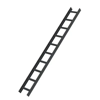 Produktbild von MUNK Aluminium Dachleiter 10 Sprossen anthrazitgrau