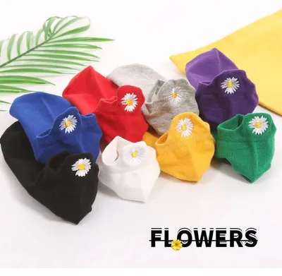 Image de Chaussettes Basses en Coton pour Femmes et Filles | Margue...| 35–40 EU