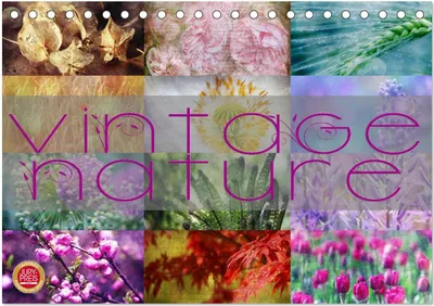 Produktbild von Vintage Nature - Romantische Naturaufnahmen (Tischkalender 2025 DIN A5 quer), CALVENDO Monatskalender