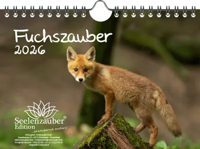 Produktbild von Fuchszauber DIN A5 Kalender für 2026 Fuchs und Füchse - Seelenzauber