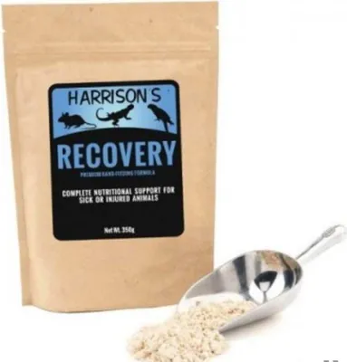 Produktbild von Dr. Harrison 'S Handaufzuchtfutter Recovery Formula, 0,35 Kg