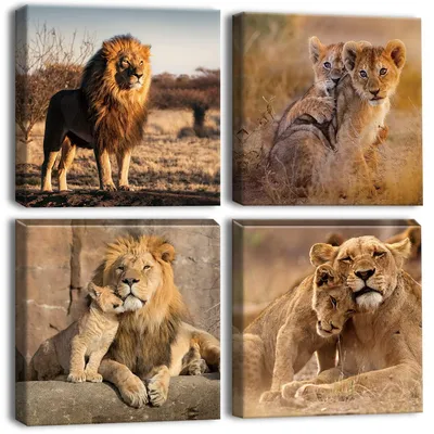 Productafbeelding van Canvasprint van een leeuwenfamilie, 30 x 30 cm, 4-delig, wanddecoratie voor de woonkamer