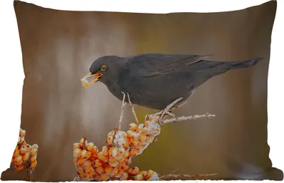Produktbild von MuchoWow® Outdoor Kissen - Vogel - Amsel - Winter - Eis - Beere - 60x40 cm - Wetterfest - Lounge Kissen - Zierkissen - Kissen für Innenräume