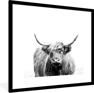 Produktbild von MuchoWow® Gerahmtes Poster Schottischer Highlander - Porträt - Schwarz - Weiß 40x40 cm - Poster mit Schwarzem Bilderrahmen Wandposter Rahmen Foto Bilder - Poster - Plakat im Rahmen