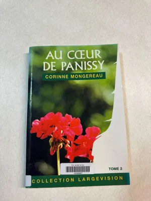 Image de Au coeur de panissy