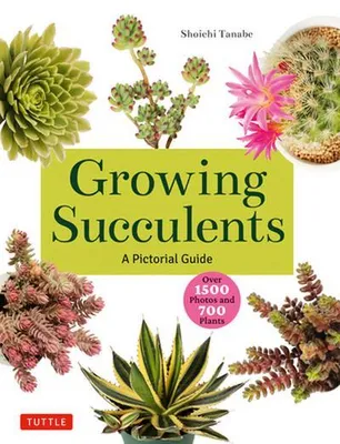 Imagen del producto de Cultivo de suculentas