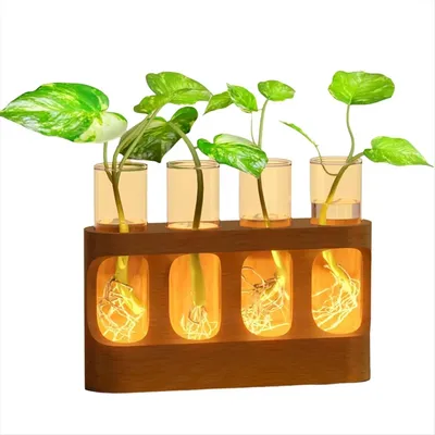 Produktbild von Pflanzenvermehrungsstation mit 3-stufig einstellbarer LED, Holzständer und 4 Glastuben für Hydrokultur, einzigartiges Geschenk für Pflanzenliebhaber