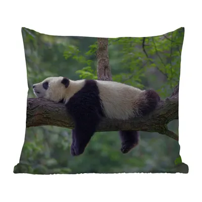 Obrázek produktu pro MuchoWow® Vnější polštář - Panda - Strom - Zvířata - Příroda -40x40 cm- Odolnost proti povětrnostním vlivům - polštář do obývacího pokoje
