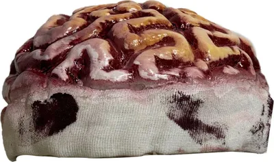 Produktbild von Zombie-Gehirn-Kappe, gruselige Latex-Kopfbedeckung, realistischer Gehirnhut, Halloween-Kostüm, Kopfbedeckung für Cosplay-Horror-Mottopartys
