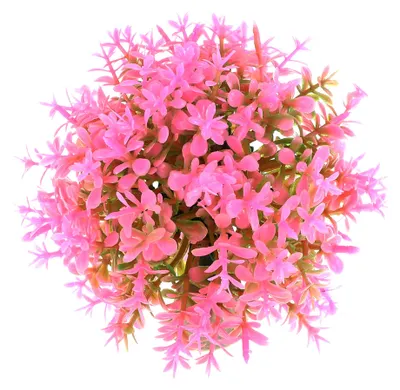 Productafbeelding van Kunststof Grasbal voor Aquariumdecoratie - 1 Stuk