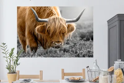 Produktbild von MuchoWow® - Selbstklebend - Fototapeten