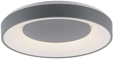 Immagine prodotto di Plafond con telecomando 48 cm LED 26,5W grigio rotondo ANIKA Paul Neuhaus