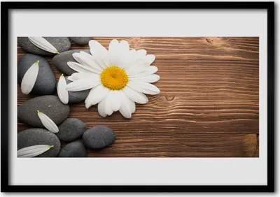 Produktbild von Bild 100x70 MDF-Rahmen Wandkunst Daisy Blütenblätter Pflanze