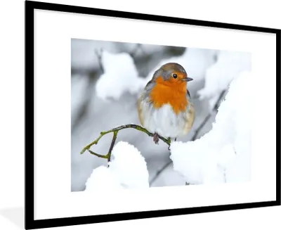Produktbild von MuchoWow® Gerahmtes Poster Rotkehlchen - Schnee - Winter 90x60 cm - Poster mit Schwarzem Bilderrahmen Wandposter Rahmen Foto Bilder - Wanddekoration - Fotos