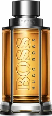 Obrázek produktu pro Hugo Boss The Scent - toaletní voda 100 ml