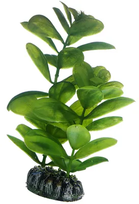 Produktbild von Hobby Saururus, künstliche Pflanze 16 cm