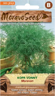 Image de Aneth MORAVAN 62401