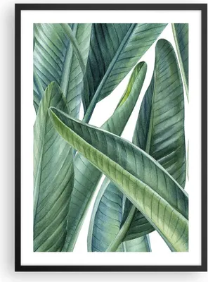 Produktbild von Gerahmtes Poster - Schwarzer Rahmen - Exotisch Blätter Grün - 50x70 cm - Wand Bild - Wanddeko - Wandbilder - Kunstposter - Wandposter - Bilderrahmen - Bilder - Kunstdruck - Wandbild - P2BPA50x70-4258